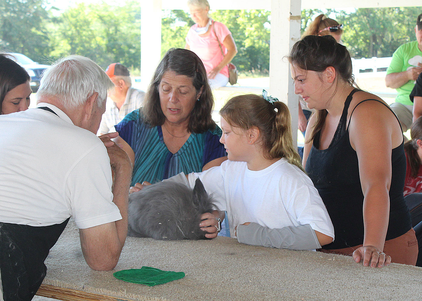 Photos from the Fayette County Free Fair